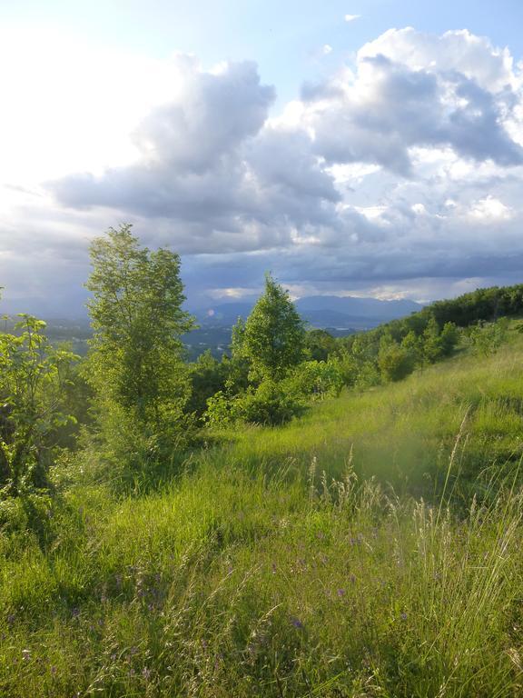 La Casetta Del Tiglio Bed & Breakfast Arcugnano Luaran gambar